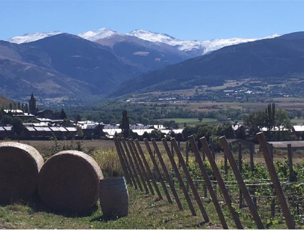 La Vinya de Mountain Wines, amb Llívia al Fons, als peus del majestuós Puigmal.
